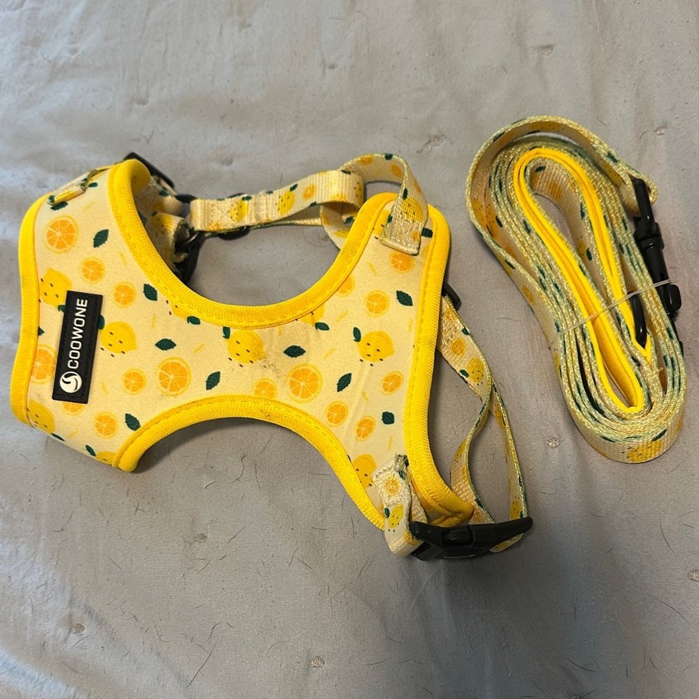 Yellow Lemon Dog Harness and Leash Set